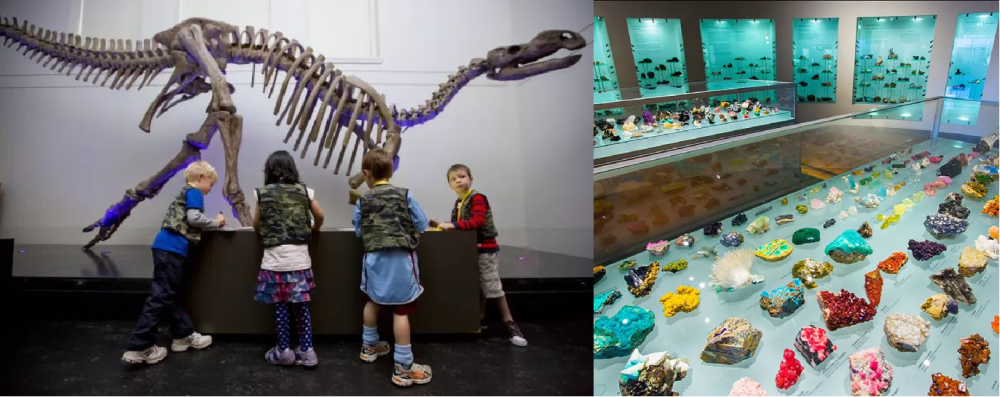 圖片2.png 圖片2.png